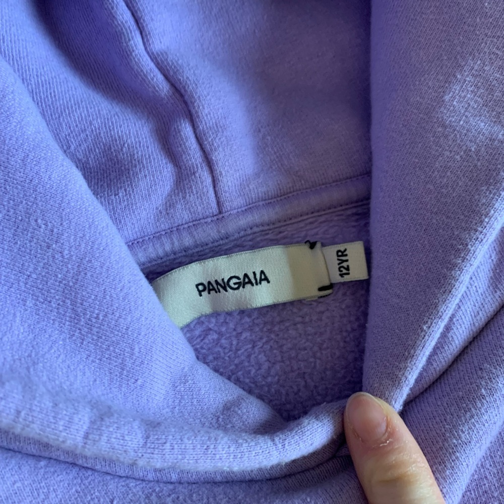 Pangaia hoodie - Picture 4 of 4